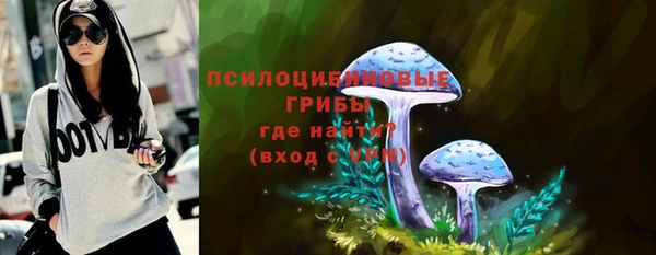 хмурый Елизово