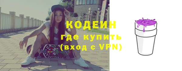 хмурый Елизово