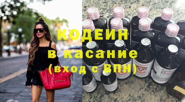 хмурый Елизово