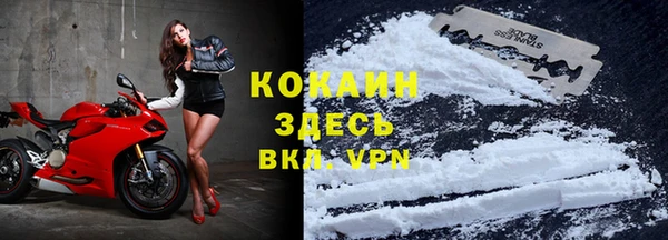 прущая мука Ельня