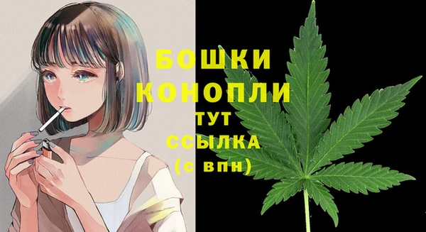 прущая мука Ельня